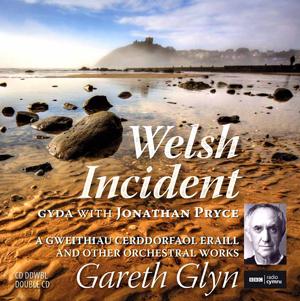 *CD Welsh Incident Gareth Glyn SCD2653