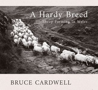 A hardy breed