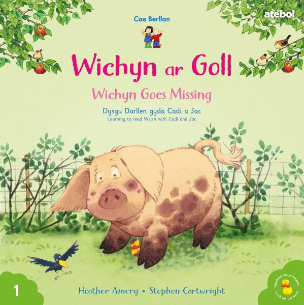 Wichyn Ar Goll / Wichyn Goes Missing Cyfres Cae Berllan