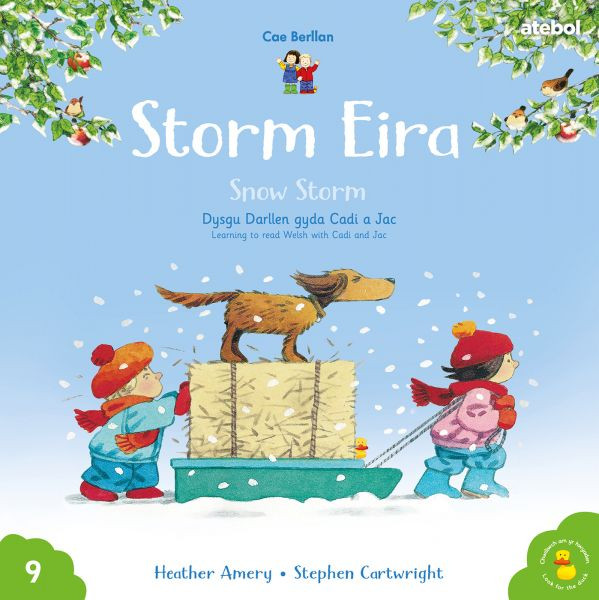 Storm Eira / Snow Storm Cyfres Cae Berllan