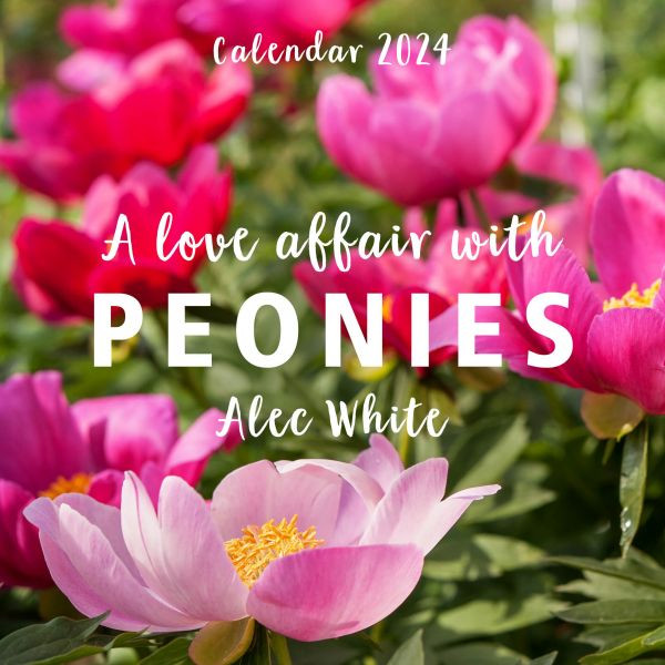 Love Affair with Peonies Calendar 2024, A