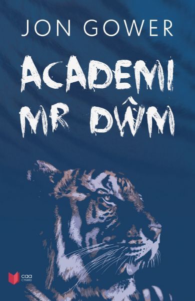 Academi Mr Dwm