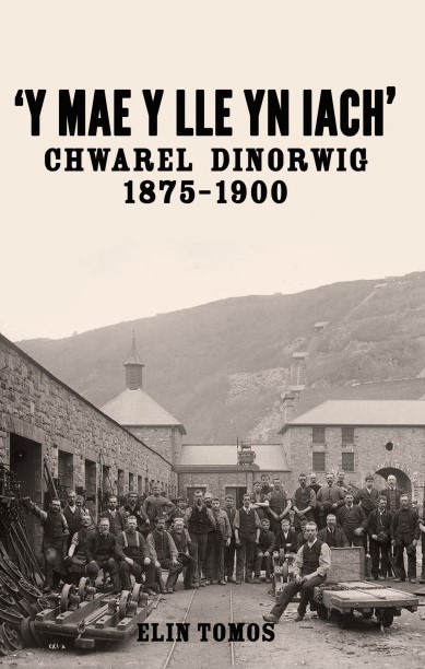 \'Y Mae y Lle yn Iach\' - Chwarel Dinorwig 1875-1900
