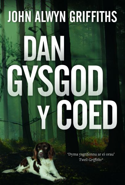 Dan Gysgod Y Coed