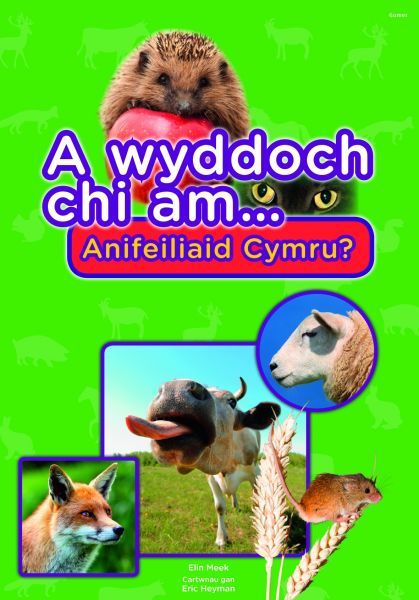 A Wyddoch Chi am Anifeiliaid Cymru?