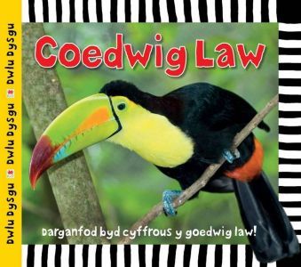 Coedwig Law Cyfres Dwlu Dysgu