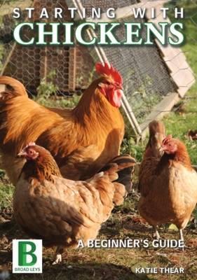 Starting with Chickens: A Beginner's Guide