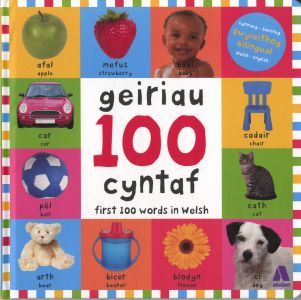 100 Geiriau Cyntaf/ First 100 Words in Welsh